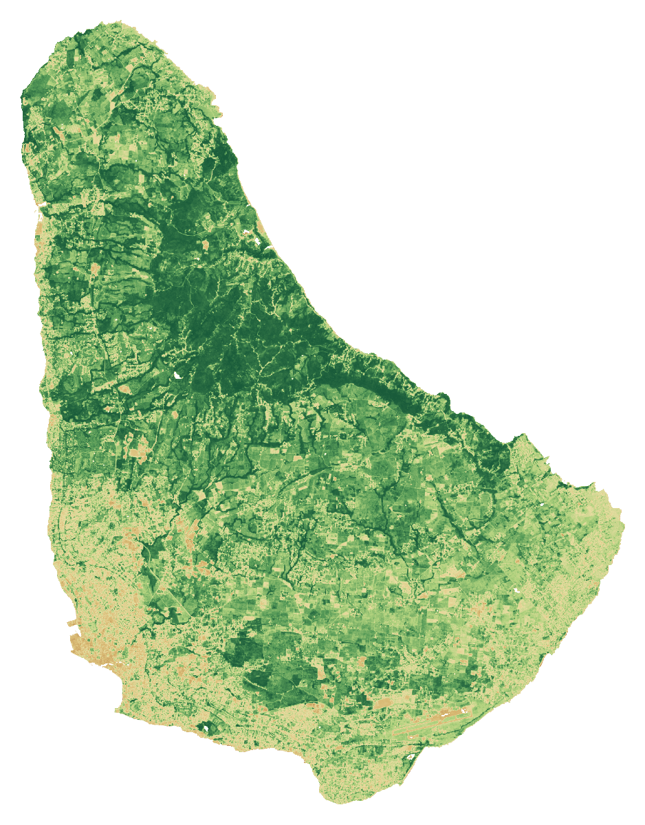 NDVI vegetation-signal median composite of Barbados, January to September 2026; same extent as the natural-colour view