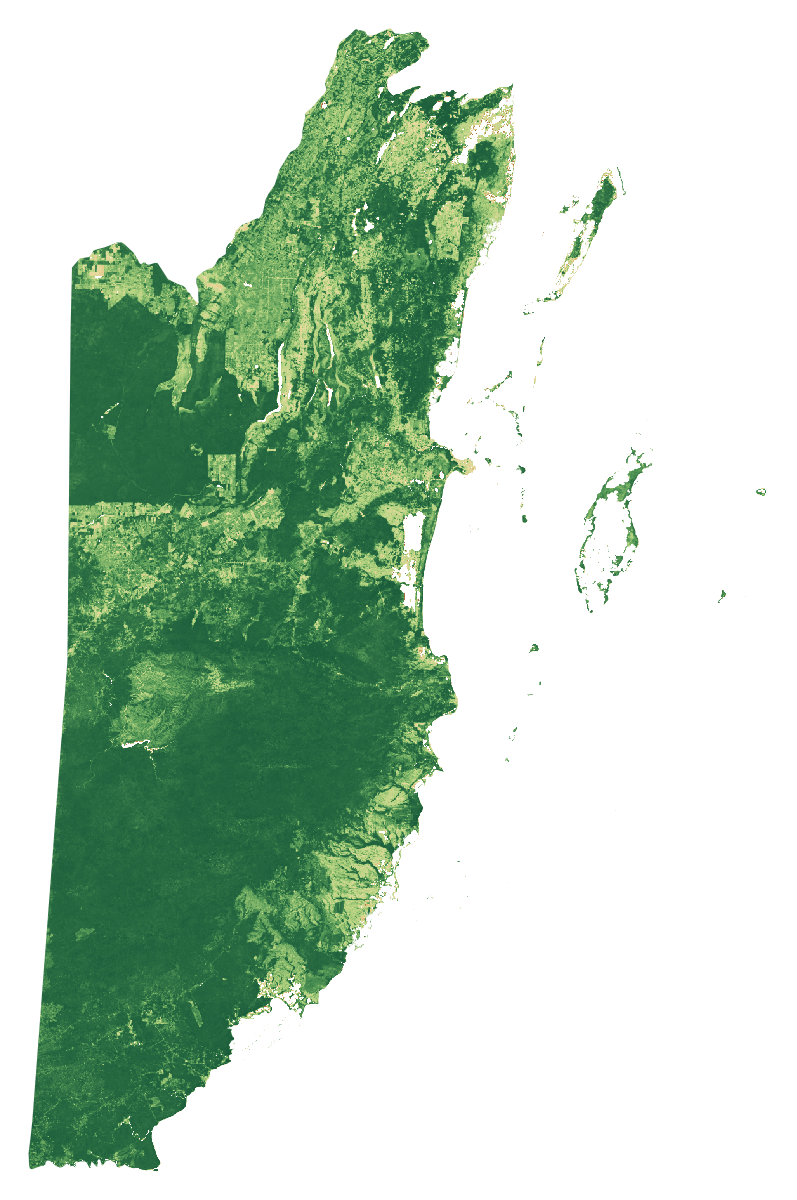 NDVI vegetation-signal median composite of Belize, January to September 2026; same extent as the natural-colour view