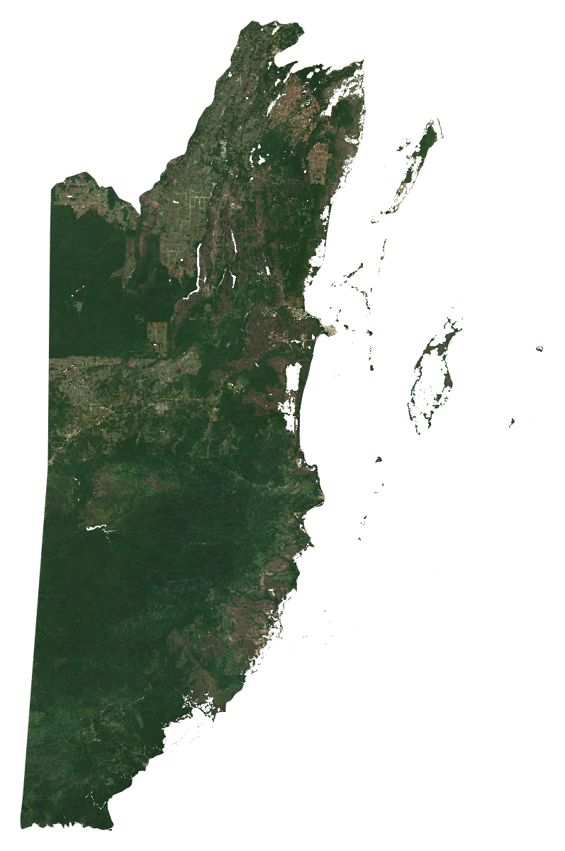 Natural-colour Sentinel-2 median composite of Belize, January to September 2026