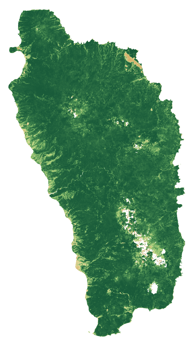 NDVI vegetation-signal median composite of Dominica, January to September 2026; same extent as the natural-colour view
