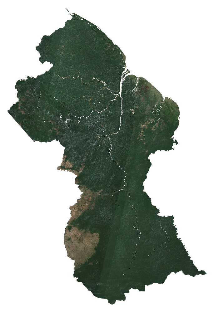 Natural-colour Sentinel-2 median composite of Guyana, January to September 2026
