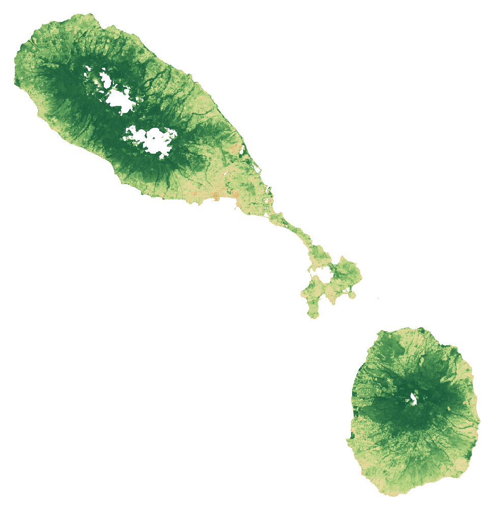 NDVI vegetation-signal median composite of Saint Kitts and Nevis, January to September 2026; same extent as the natural-colour view