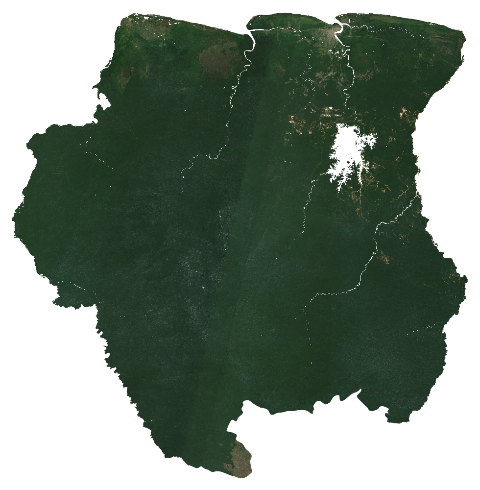 Natural-colour Sentinel-2 median composite of Suriname, January to September 2026